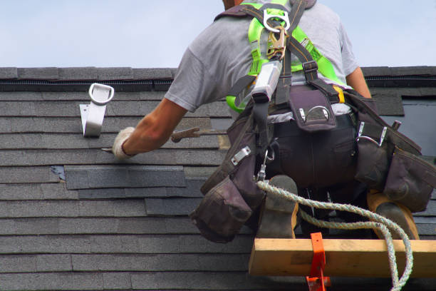 Best Roof Moss and Algae Removal  in Leetonia, OH